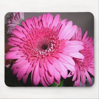 Rosa Gerber Gänseblümchen Mousepad