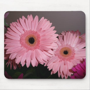 Rosa Gerber Gänseblümchen Mousepad