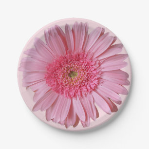 Rosa Gerber Gänseblümchen-Papier-Teller Pappteller