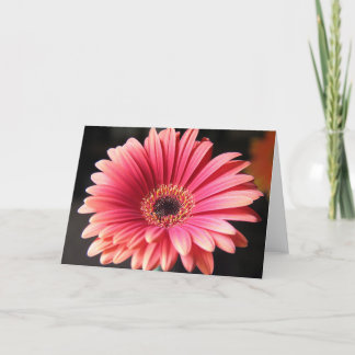 Rosa Gerber Karte