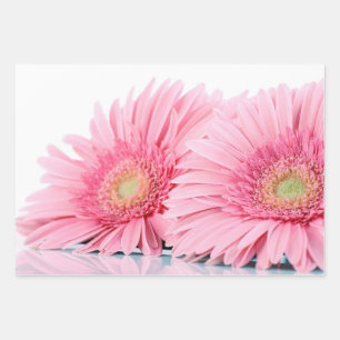 Rosa Gerbera Daisies Elegante Fotografie Geschenkpapier Set