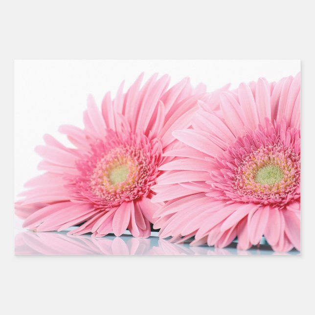 Rosa Gerbera Daisies Elegante Fotografie Geschenkpapier Set (Vorderseite)