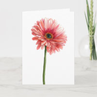 Rosa Gerbera-Daisy-Aquarell-Garten-Naturliebhaber