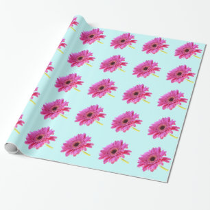 Rosa Gerbera Daisy über blauen Hintergrund Geschenkpapier