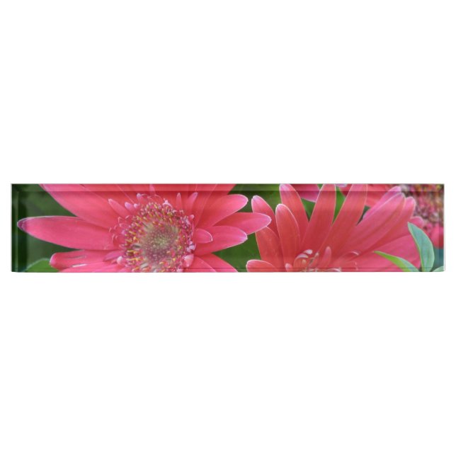Rosa Gerbera-Gänseblümchen Namensplakette (Vorderseite)
