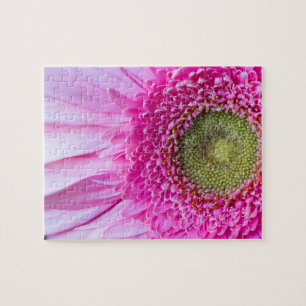 Rosa Gerbera-Gänseblümchen-Puzzlespiel Puzzle