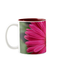Rosa Gerbera-Gänseblümchen-Tasse