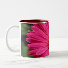 Rosa Gerbera-Gänseblümchen-Tasse Zweifarbige Tasse
