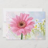 Rosa Gerbera-Margerite für jede Gelegenheit Einlad