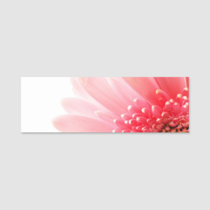 Rosa Gerbera-Margerite Namensschild