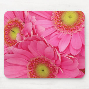 Rosa Gerbera-Margeriten Mousepad