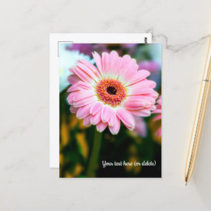 Rosa Gerbera-Postkarte Postkarte
