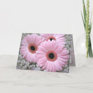 Rosa Gerberas - Geburtskarte Karte