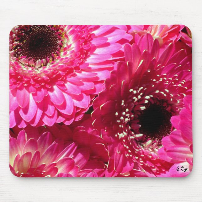 Rosa Gerberas Mousepad (Vorne)
