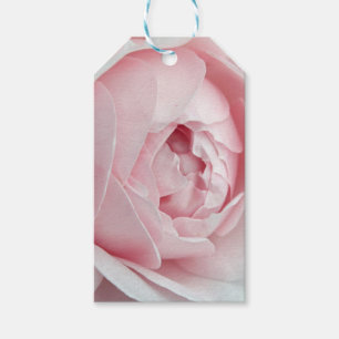 Rosa Geschenkkarte Pink Geschenkanhänger