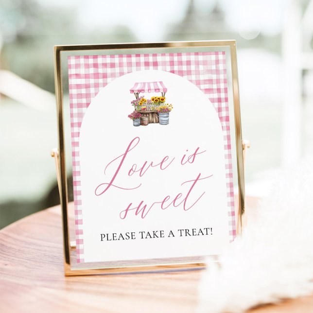 Rosa Gingham Fresh Off The Market Liebe ist süß Poster (Watercolor Pink Gingham Fresh Off The Market Love is Sweet Sign)