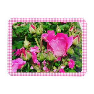 Rosa Gingham-Kariert-Garten-Foto Magnet