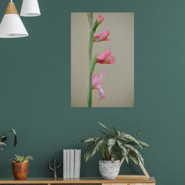 Rosa Gladiolus Glad Blume Profil Art Poster (Wohnzimmer 1)
