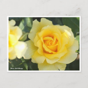 Rosa Gold Bunny Postkarte
