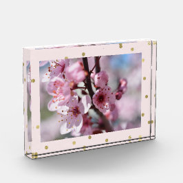 Rosa Goldscheinconfetti-personalisiertes Foto