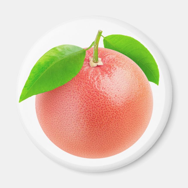 Rosa Grapefruits Magnet (Vorne)