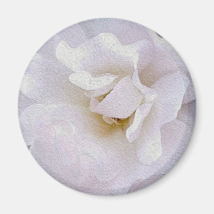 Rosa graue Rose Magnet