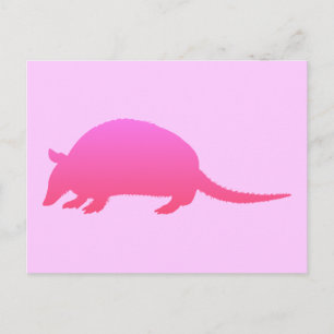 Rosa Gürteltier Postkarte