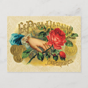 Rosa Habana Vintages Zigarrenlabel Postkarte