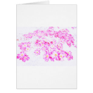 Rosa Hartriegel-Blüte