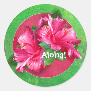 Rosa Hawaiianer-Aloha Hibiskus-Aufkleber Runder Aufkleber