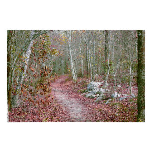 Rosa Herbstblätter Goat Rock Trail Arkansas Poster