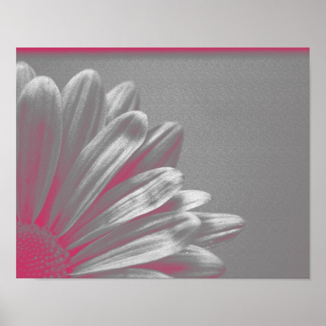 Rosa hervorgehobene Blume Poster (Vorne)
