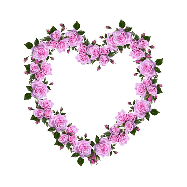 Rosa Herz Blumen-Dekokissen Kissen (Nice pillow
https://www.zazzle.com/pink_rose_heart_floral_decorative_pillow-256871750285314100)