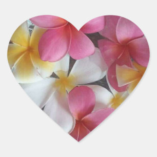 Rosa, herzförmige Plumeria-Blume-Aufkleber Herz-Aufkleber