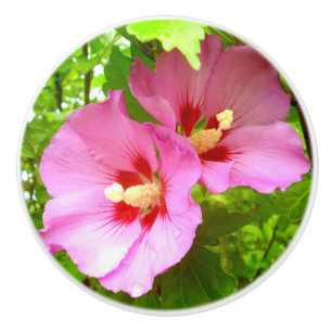 Rosa Hibisken Keramik Knoblauch Keramikknauf