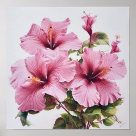 Rosa Hibiskus Blume Art Print Poster