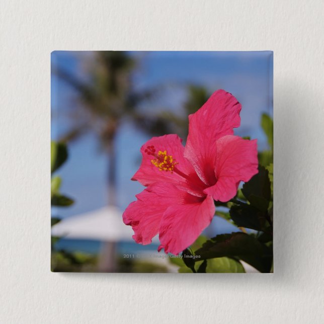 Rosa Hibiskus-Blume Button (Vorderseite)