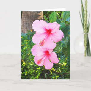 Rosa Hibiskus Blume Feiertagskarte