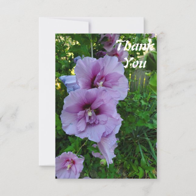 Rosa Hibiskus Blume Flat Danke Karte (Vorderseite)