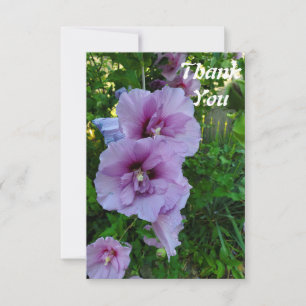 Rosa Hibiskus Blume Flat Danke Karte