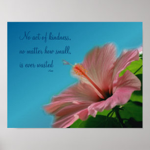 Rosa Hibiskus Blume Kindness Zitat Inspiration Poster