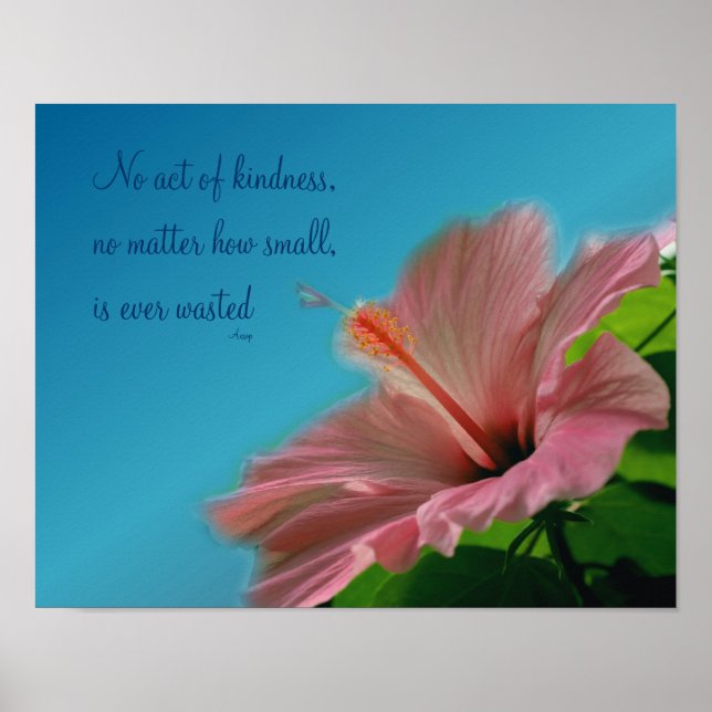 Rosa Hibiskus Blume Kindness Zitat Inspiration Poster (Vorne)