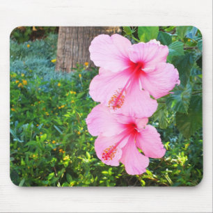 Rosa Hibiskus Blume Mousepad