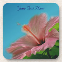 Rosa Hibiskus Blume Natur Untersetzer Set