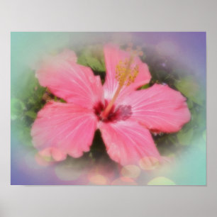 Rosa Hibiskus-Blume Poster