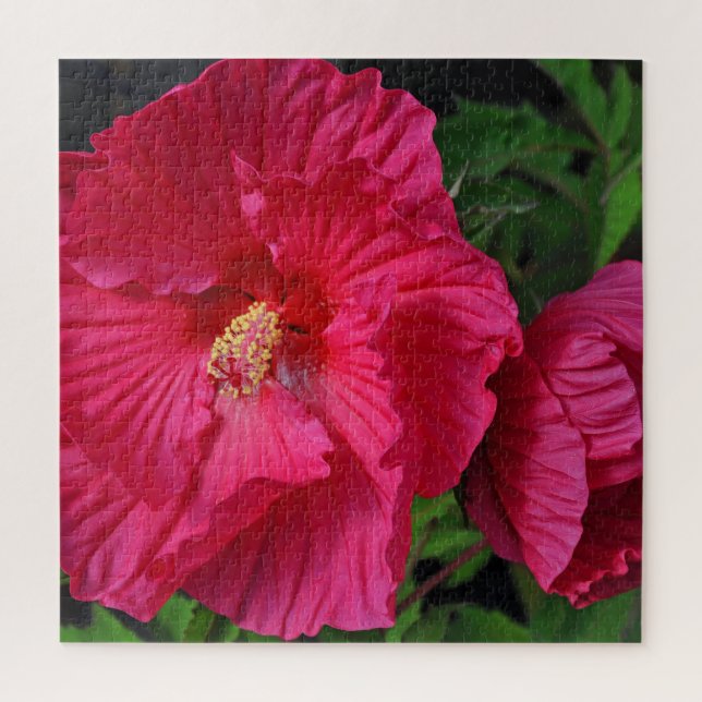 Rosa Hibiskus Blume Puzzle (Vertikal)