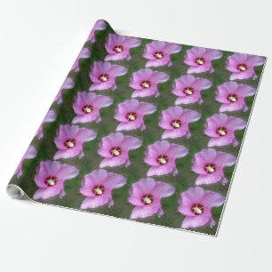 Rosa Hibiskus, digitale Kunst Geschenkpapier