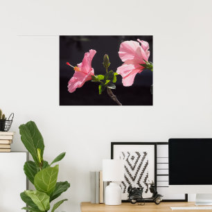 Rosa Hibiskus in Schwarz Poster