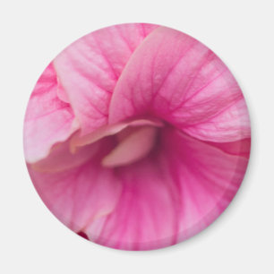 Rosa Hibiskus Magnet