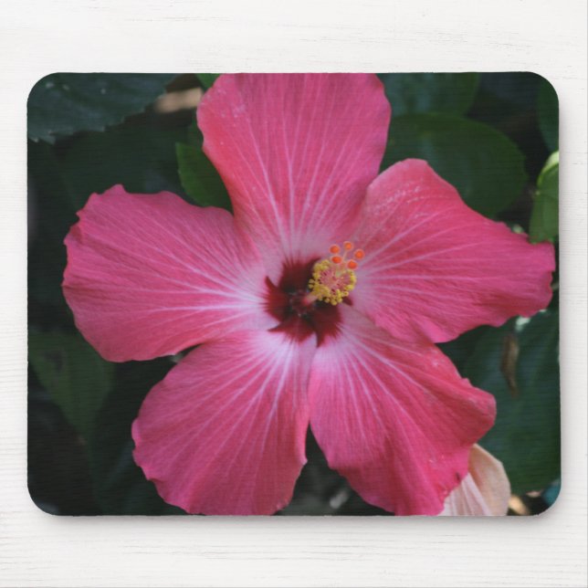 rosa Hibiskus Mousepad (Vorne)